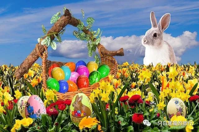 属年的今年多大_属年是哪几年_93年属什么