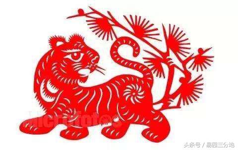 生肖属年龄对照表属猴_1938年属什么生肖_生肖属年份