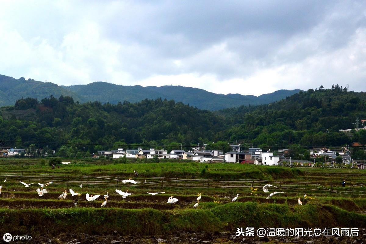 生辰八字日历年表_生辰八字万年历查询_生辰八字查询农历在线查询