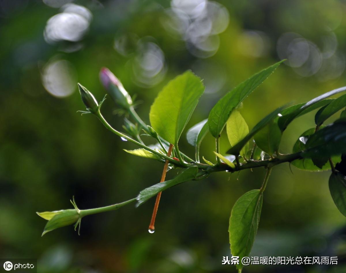 生辰八字查询农历在线查询_生辰八字日历年表_生辰八字万年历查询