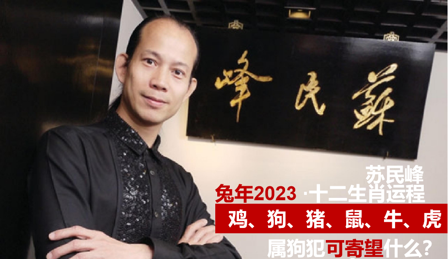 麦玲玲2023年兔年运程_麦玲玲2020年生肖兔运势_麦玲玲2021年兔运势测算