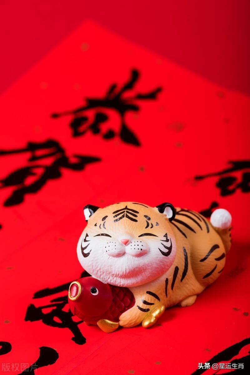属年和什么属相最配_属年的今年多大_98年属