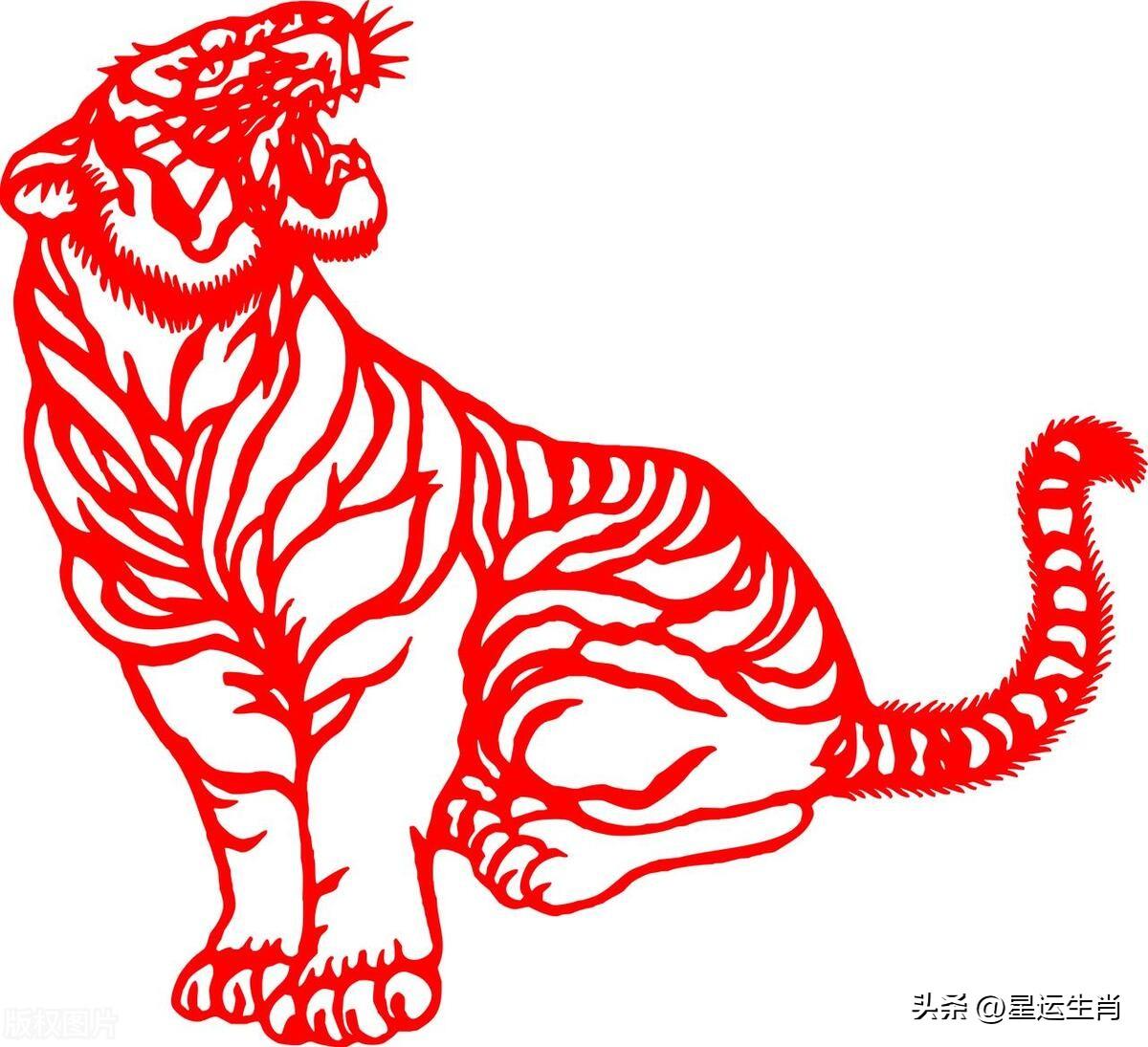 98年属_属年和什么属相最配_属年的今年多大