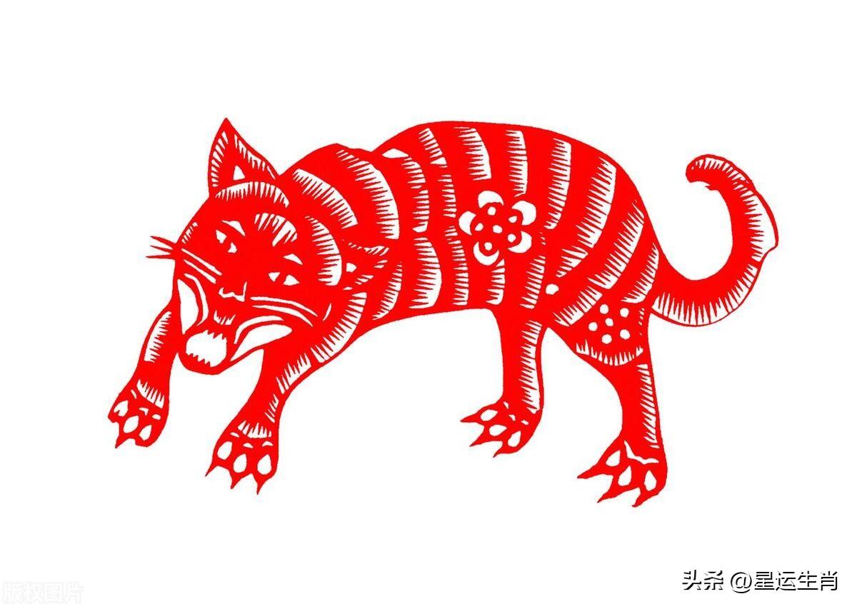 属年和什么属相最配_98年属_属年的今年多大