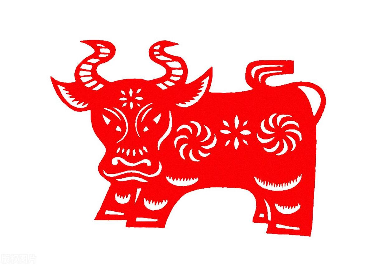 属相年份_1973年属相_属相年份对照表