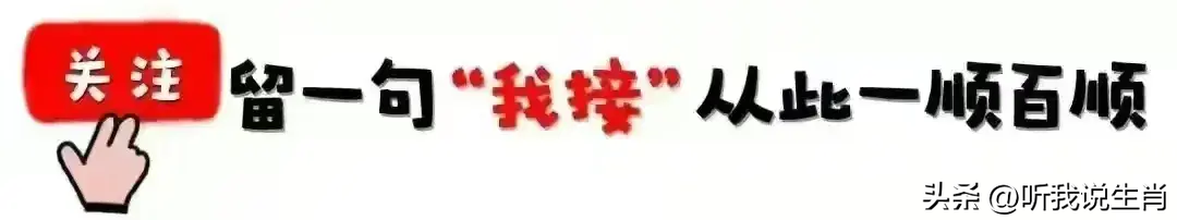生肖是2024年_生肖是按立春还是春节_2024是什么生肖