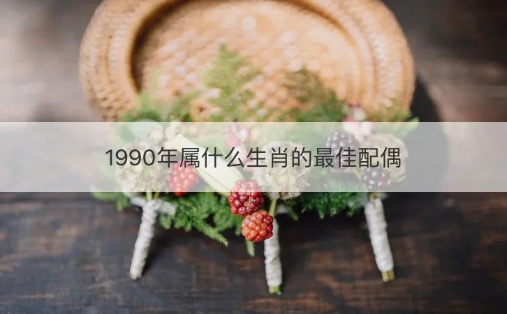属鼠_90属什么_属虎