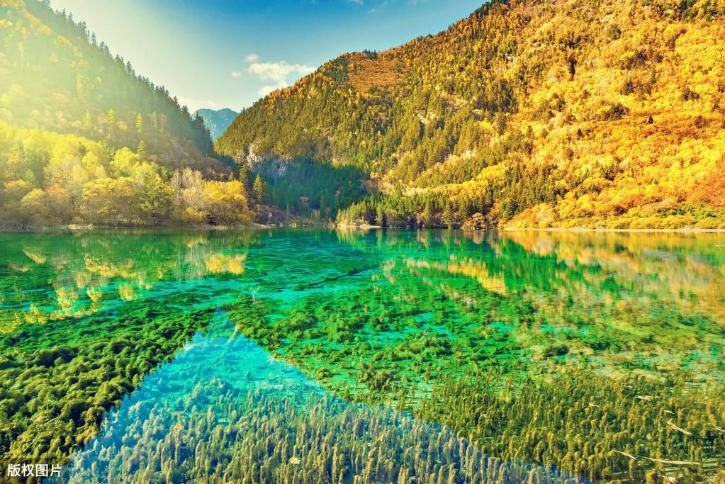 九寨沟旅游一般要多少钱_九寨沟旅行大概需要多少钱_九寨沟旅游需要