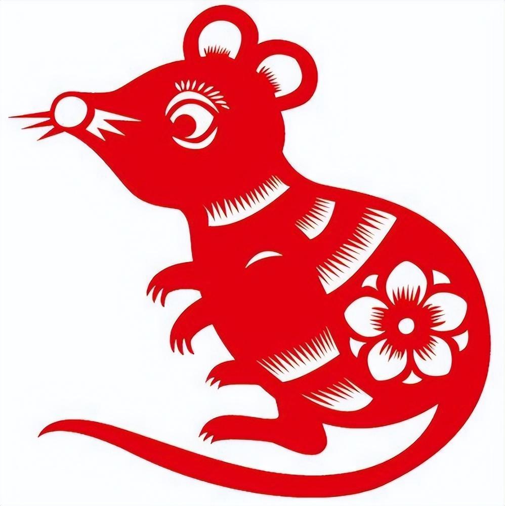 08年属什么生肖_生肖属年份表_生肖属年龄