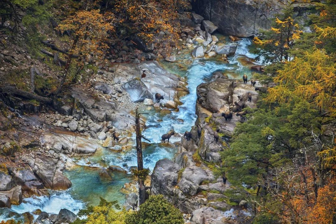 武夷山在哪_武夷山天气预报_武夷山旅游攻略自由行