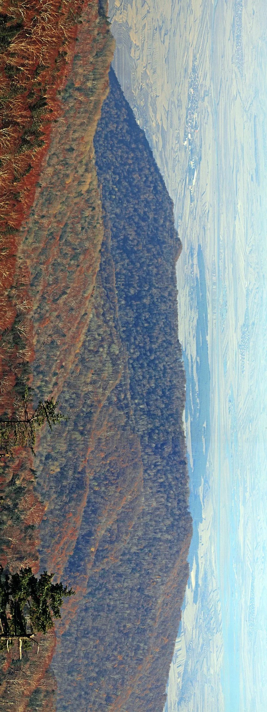 武夷山在哪_武夷山旅游攻略自由行_武夷山天气预报