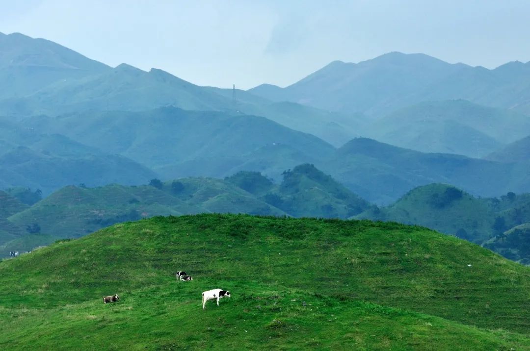 武夷山在哪_武夷山天气预报_武夷山旅游攻略自由行