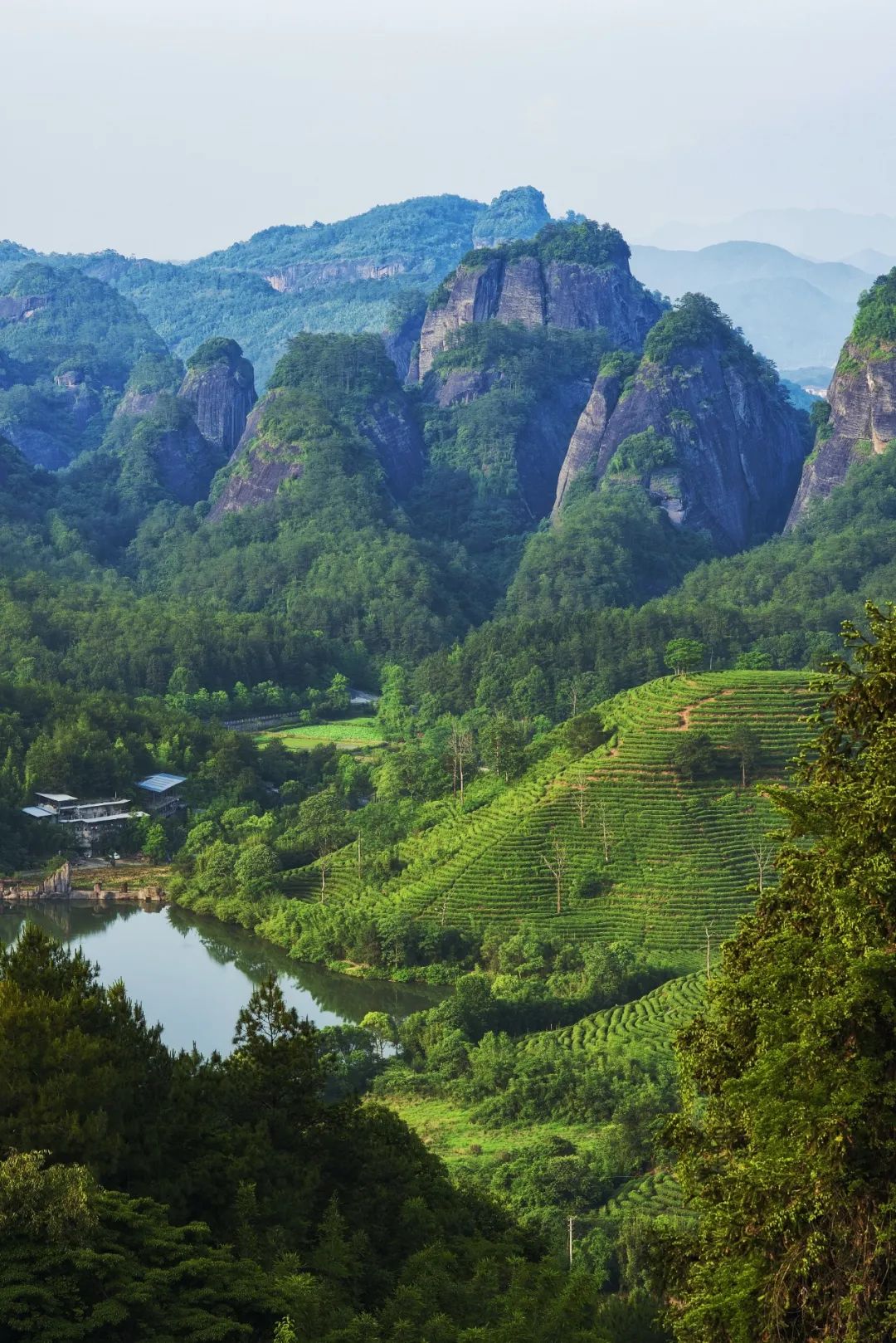 武夷山在哪_武夷山旅游攻略自由行_武夷山天气预报