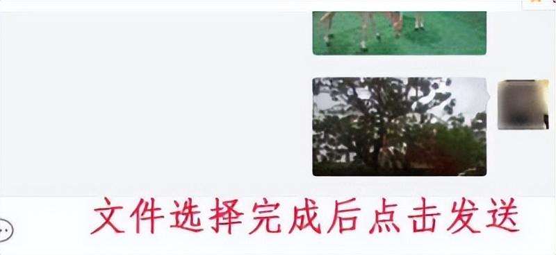 微信网页传输文件_传输网页微信文件怎么传_传输网页微信文件安全吗