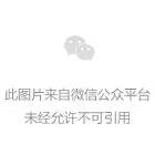 快捷键alt大全_快捷键alt+/起什么作用_alt快捷键