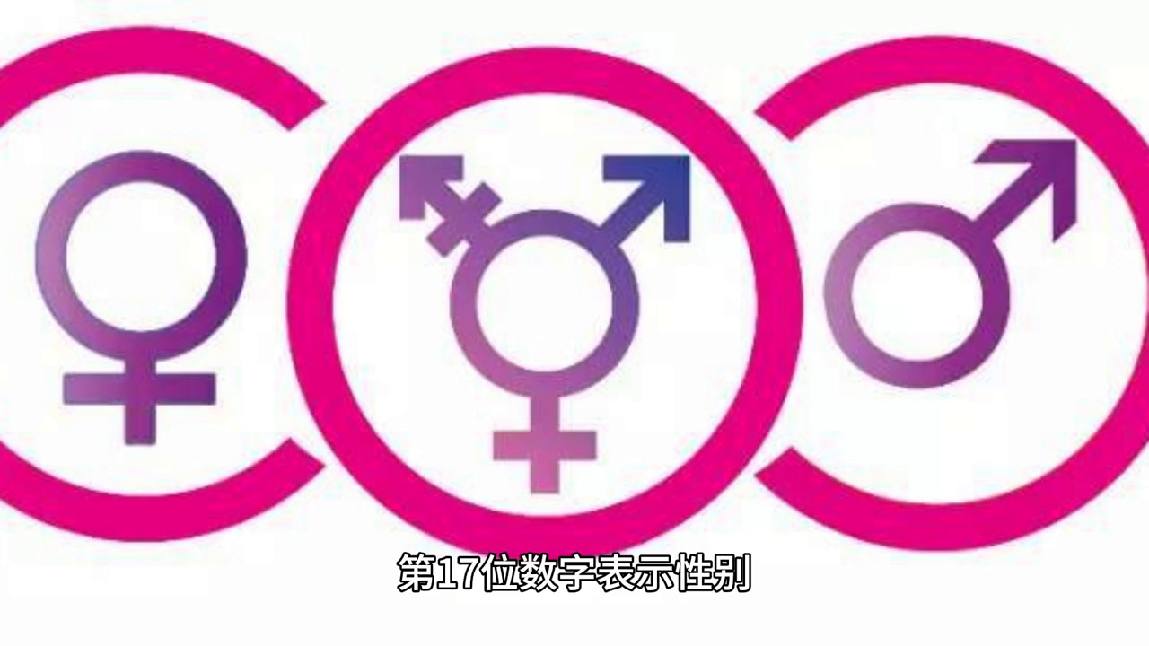 身份证有效证件号码_有效的身份证号码_身份份证号码有效