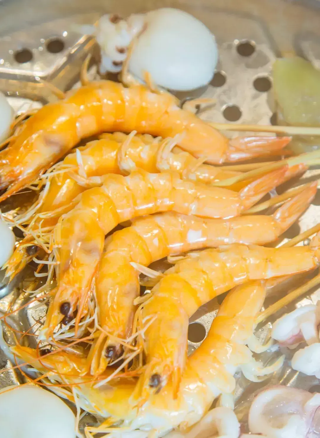 斑马贝_斑马贝_斑马贝