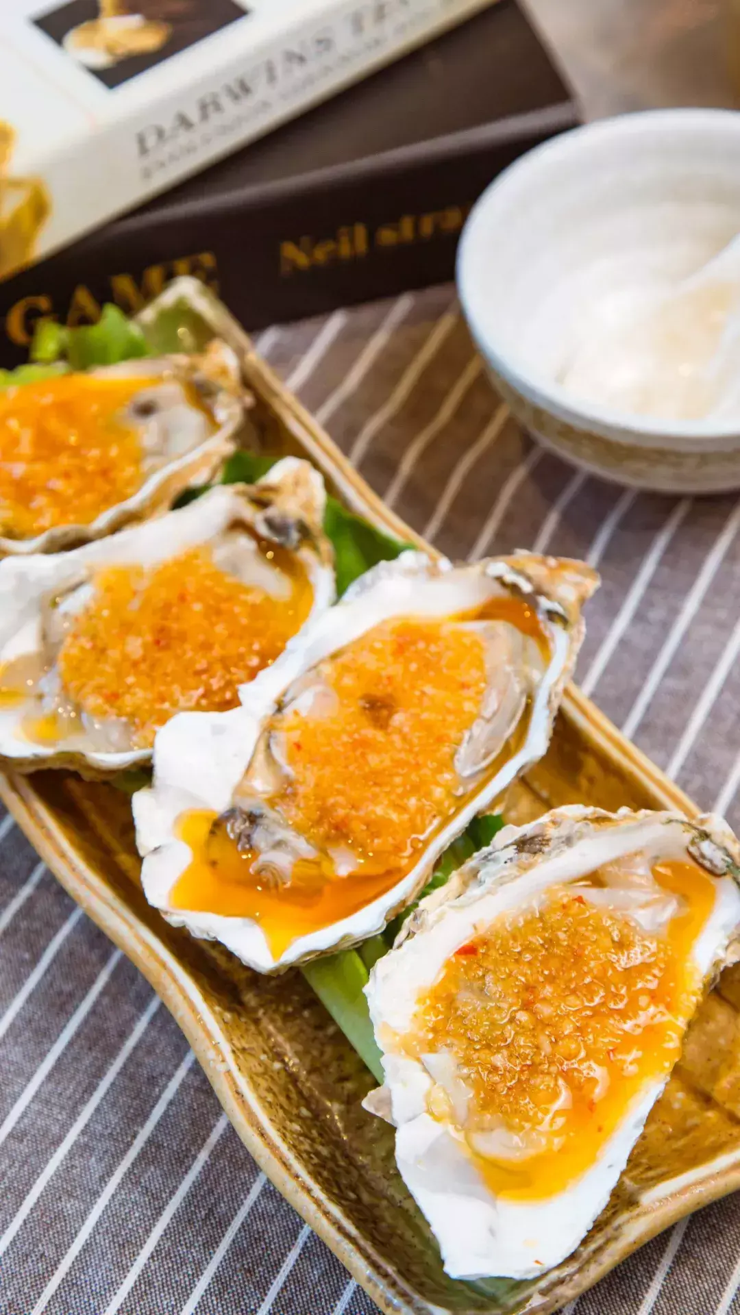 斑马贝_斑马贝_斑马贝