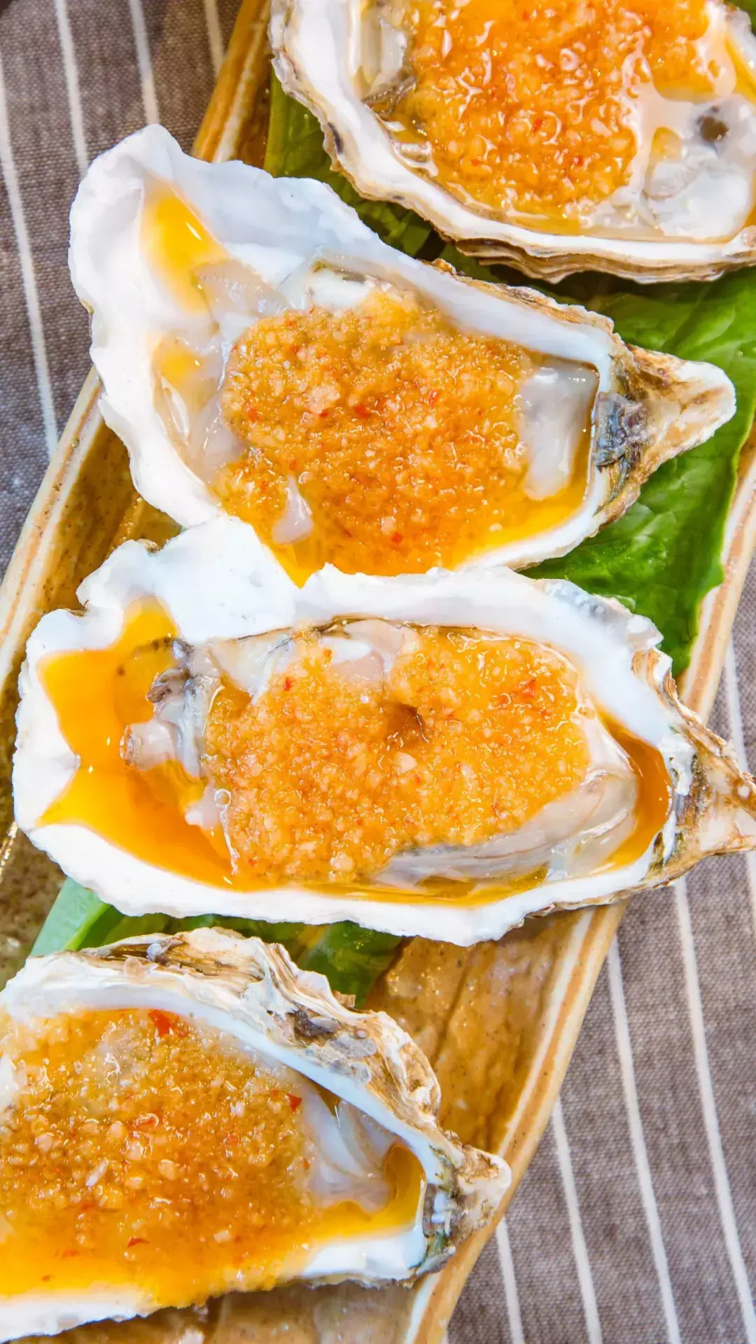 斑马贝_斑马贝_斑马贝