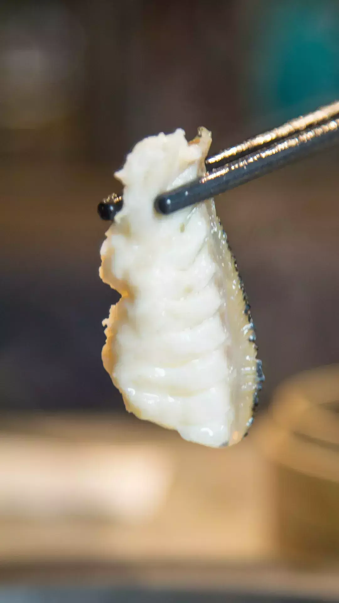 斑马贝_斑马贝_斑马贝