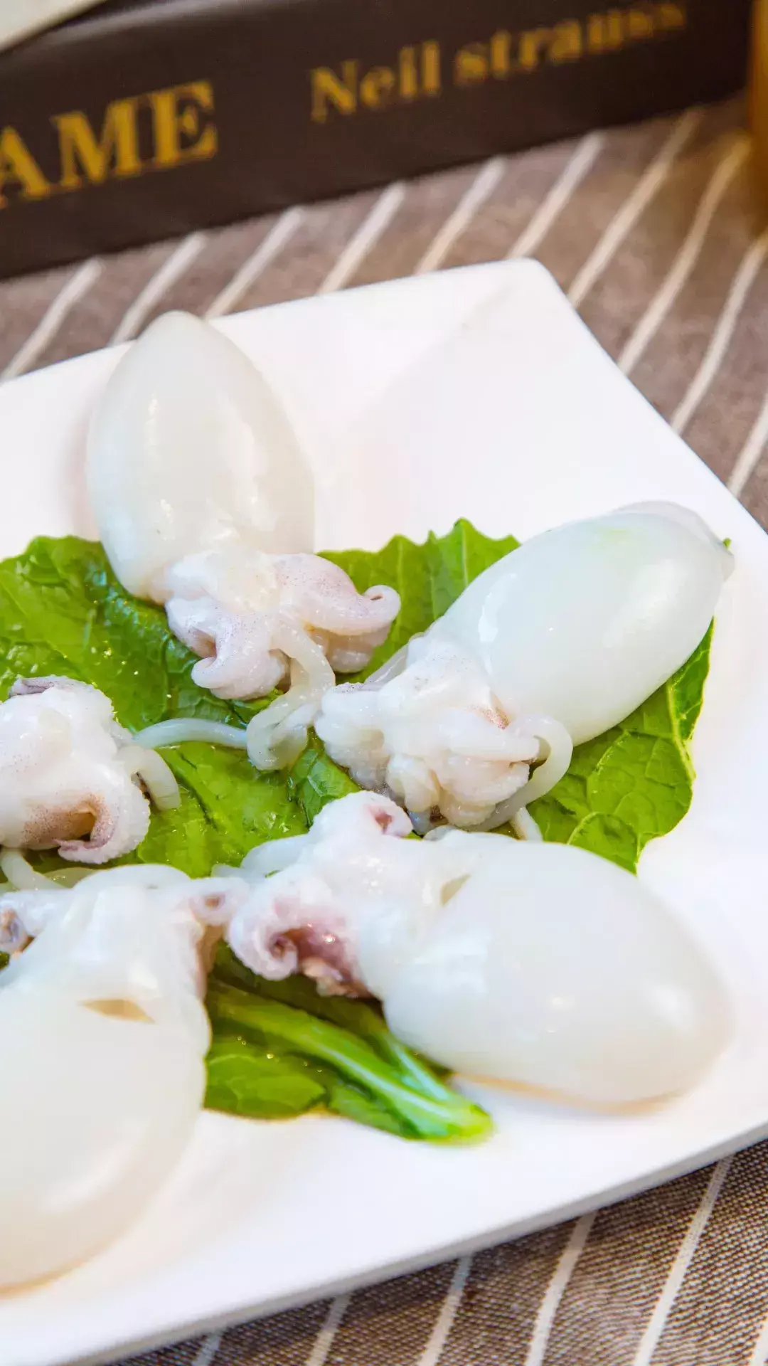 斑马贝_斑马贝_斑马贝