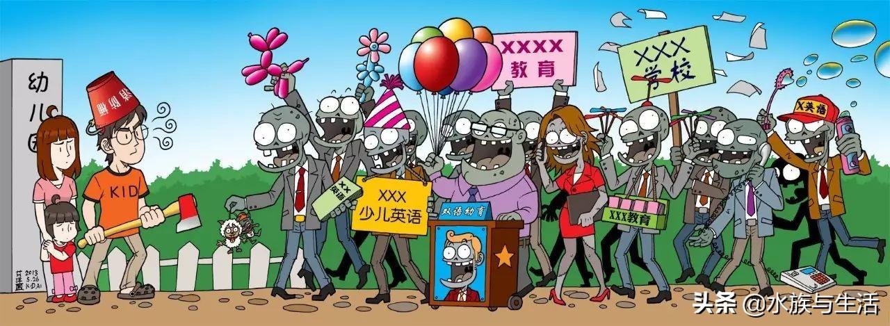 斑马贝_斑马贝_斑马贝
