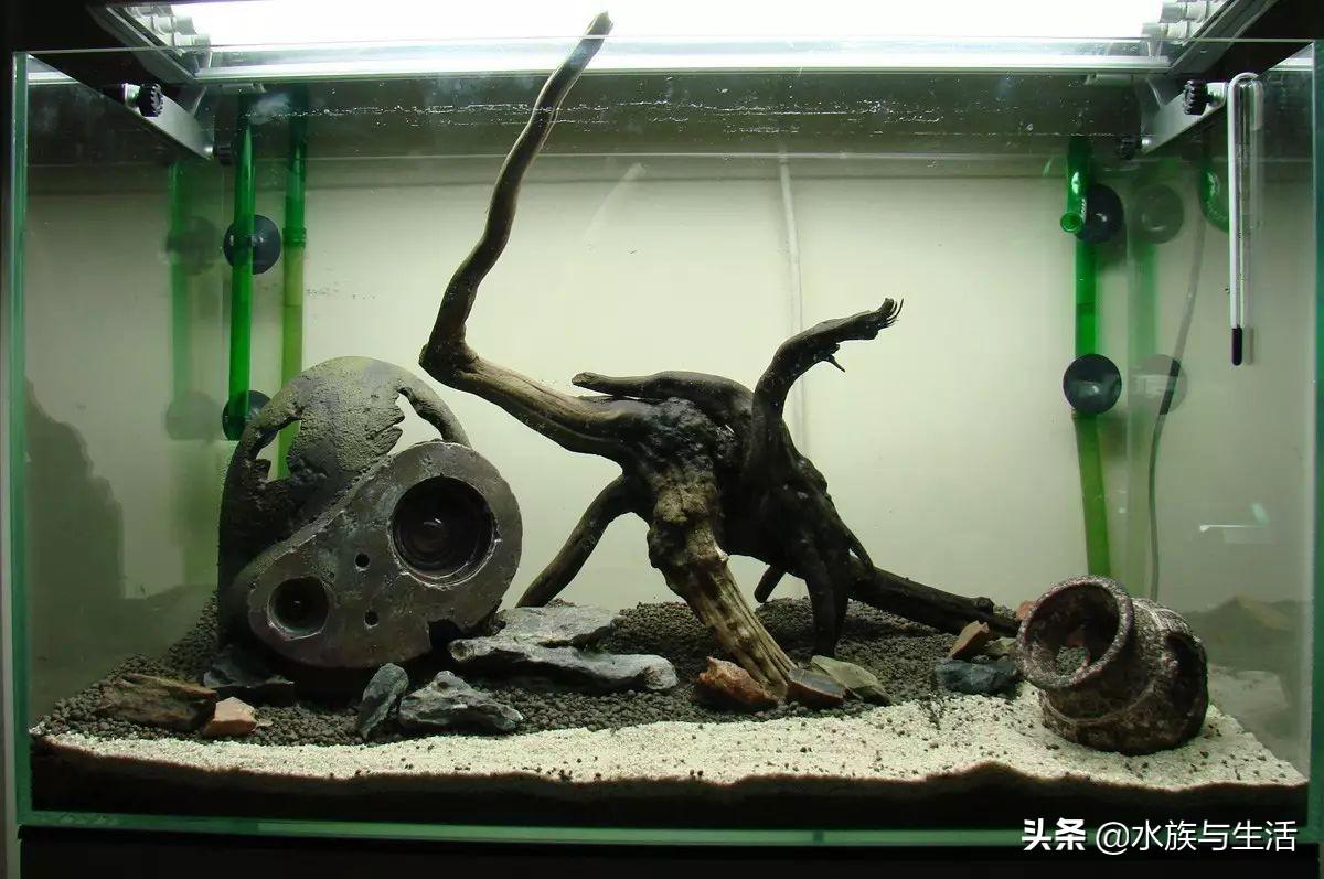 斑马贝_斑马贝_斑马贝