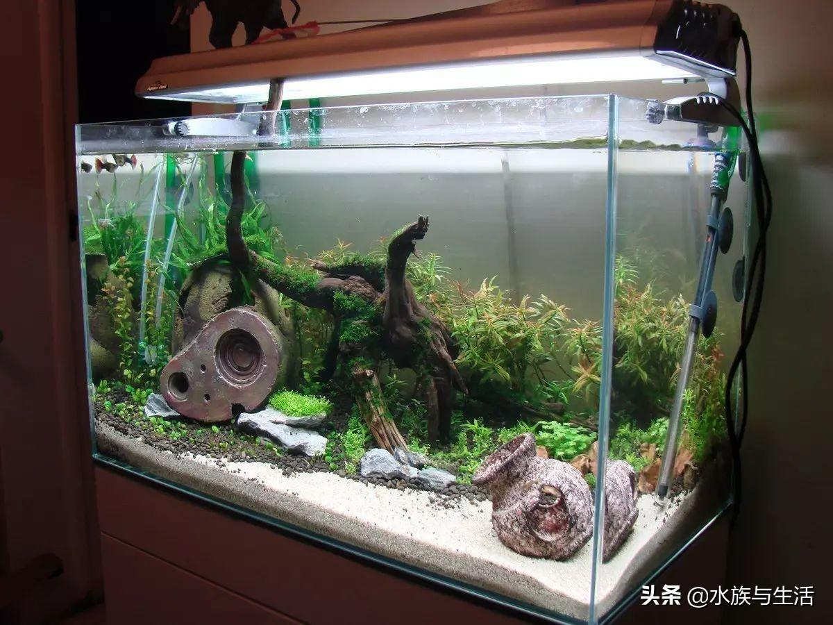 斑马贝_斑马贝_斑马贝