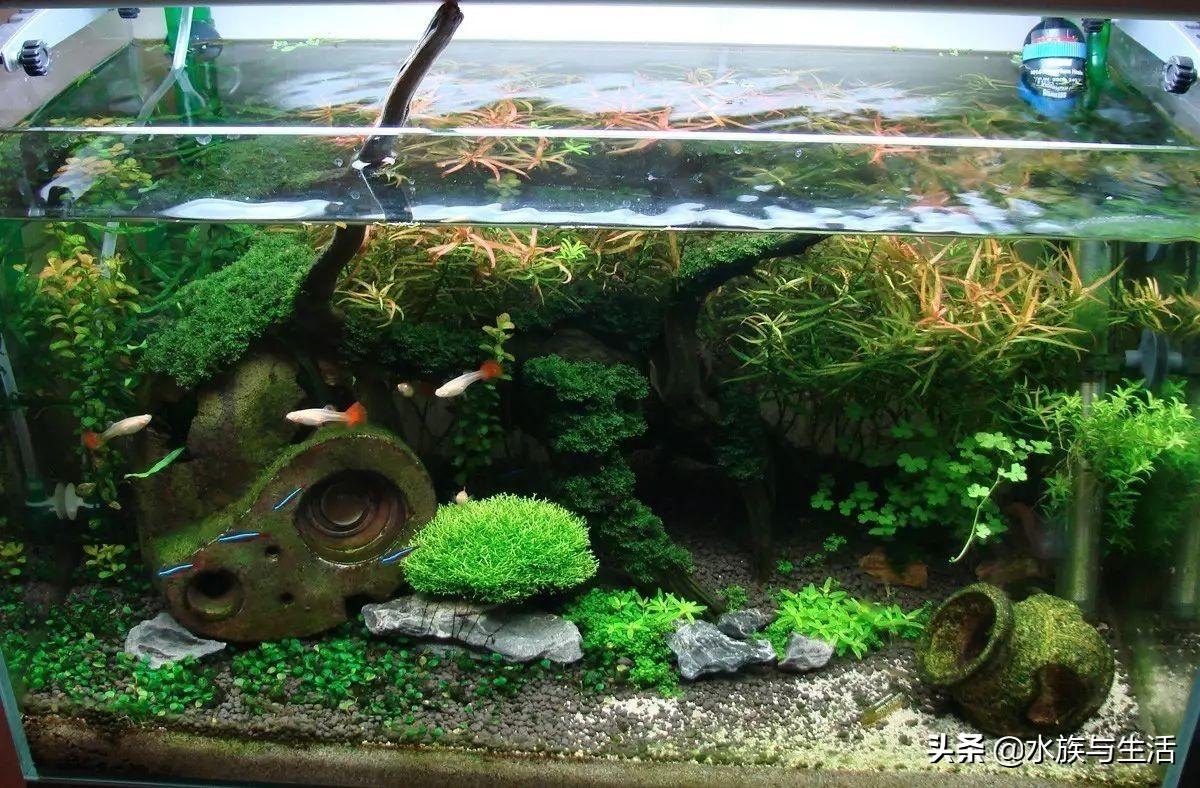 斑马贝_斑马贝_斑马贝