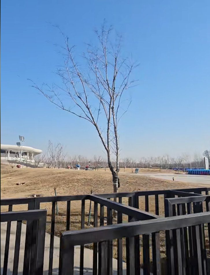 打假电话_导航造假_打假导航