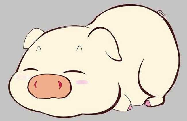 亡羊补牢生肖_亡羊补牢会出特的生肖_亡羊补牢是什么生肖