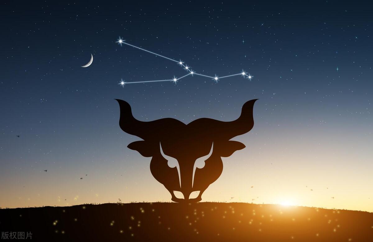 11月2日是什么星座_星座月是什么意思_星座月是啥意思