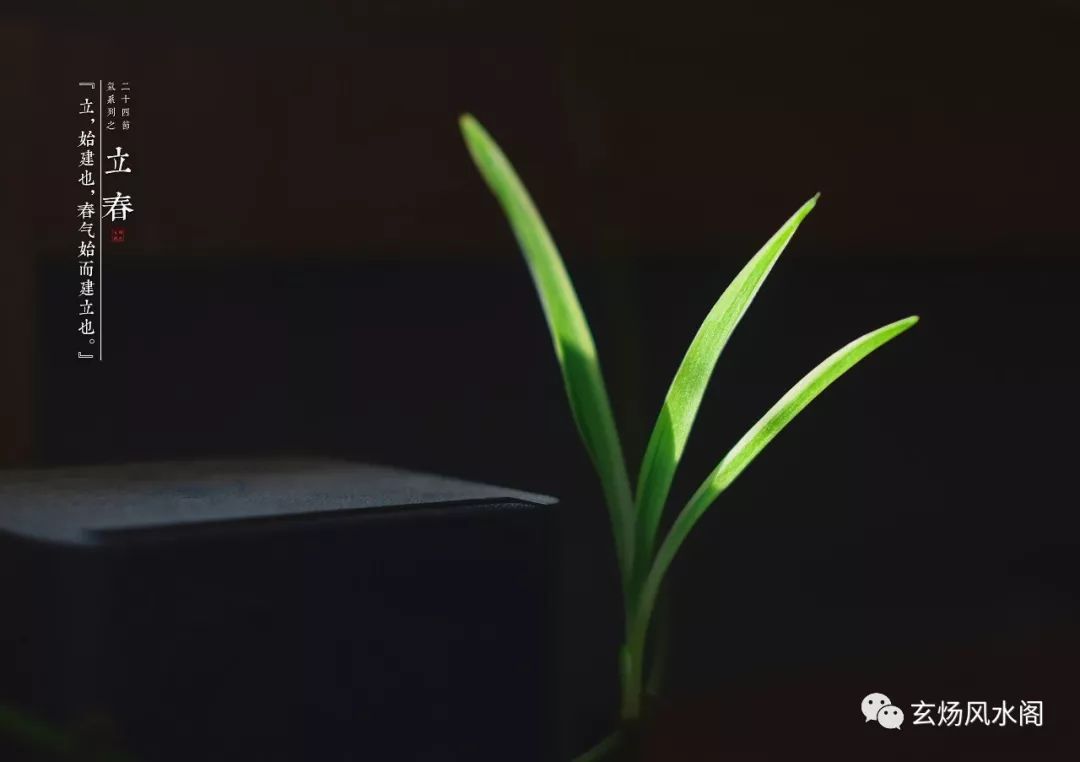 按立春算属相的万年历_属相是按立春算还是春节算_属相按照立春