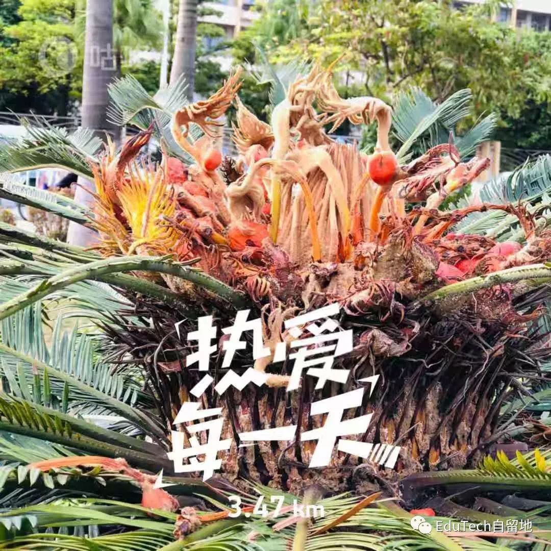 pdf派下载_pdf派在线版_pdf派在线版