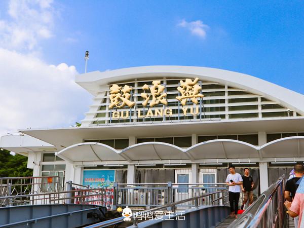 厦门鼓浪屿去哪个码头下船_厦门鼓浪屿去了就分手_厦门鼓浪屿怎么去