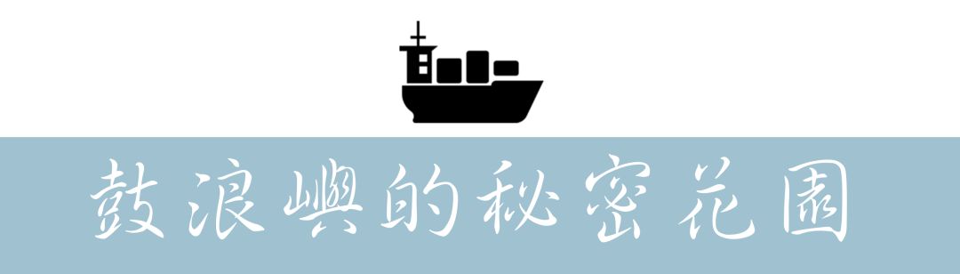 厦门鼓浪屿去了就分手_厦门鼓浪屿怎么去_厦门鼓浪屿去哪个码头坐船