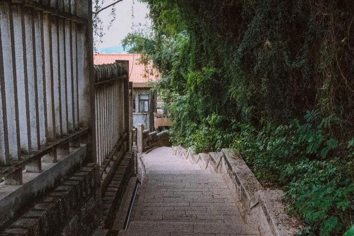 厦门鼓浪屿去了就分手_厦门鼓浪屿怎么去_厦门鼓浪屿去哪个码头坐船