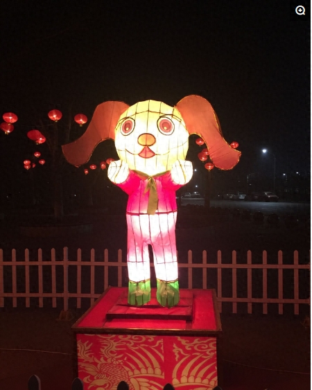 十二生肖排名，小编排最后，你呢