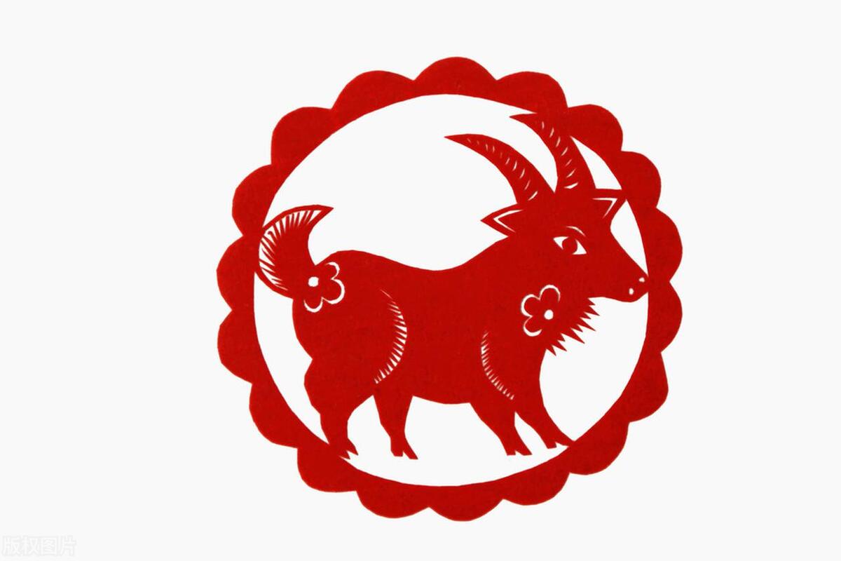 2003年属羊是什么命_属羊的啥命2003_属羊的人2003年是什么命