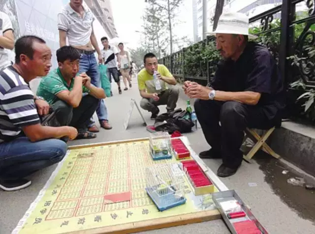 算命准吗_算命准吗能信吗有科学证实吗_算命的为什么那么准