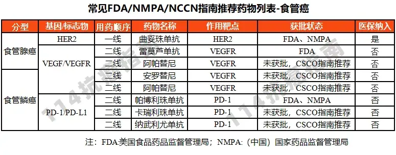 维奈托克国内价格_2021维奈托克价格多少_维奈托克价格