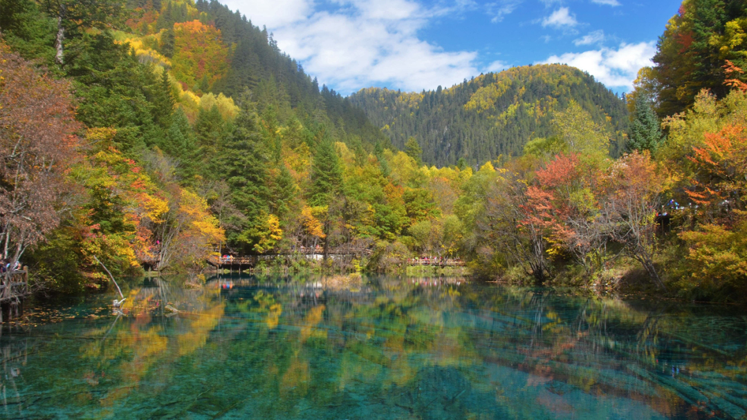 现在去九寨沟旅游要多少钱_现在去九寨沟门票需要预定吗_现在去九寨沟旅游要多少钱一周