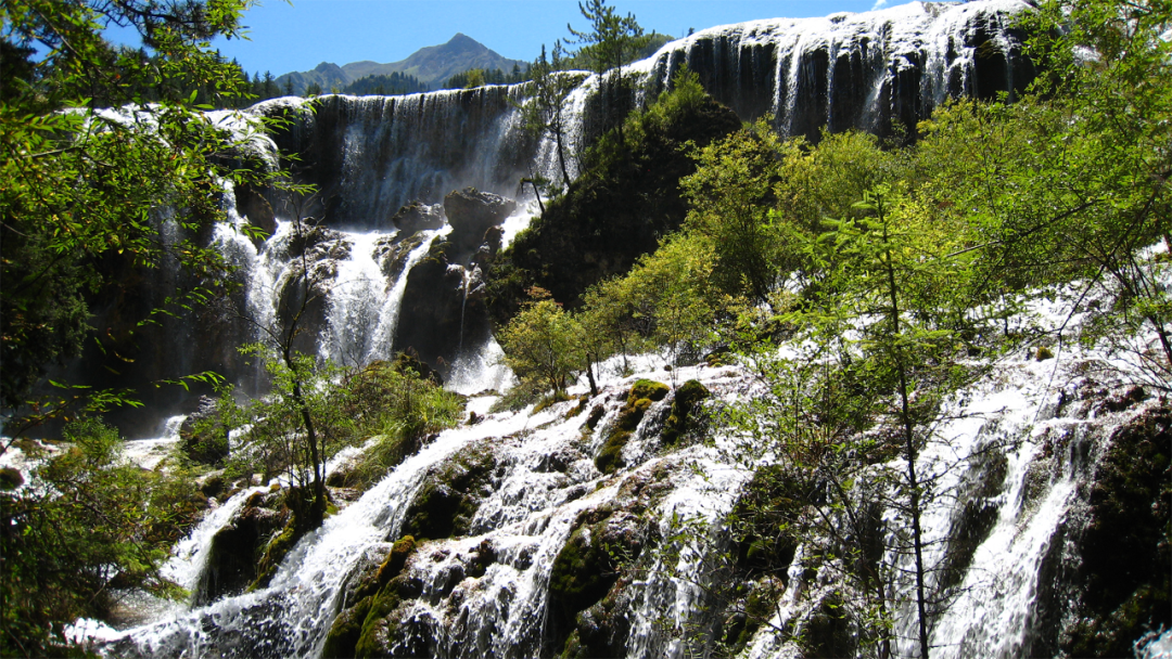现在去九寨沟旅游要多少钱一周_现在去九寨沟旅游要多少钱_现在去九寨沟门票需要预定吗