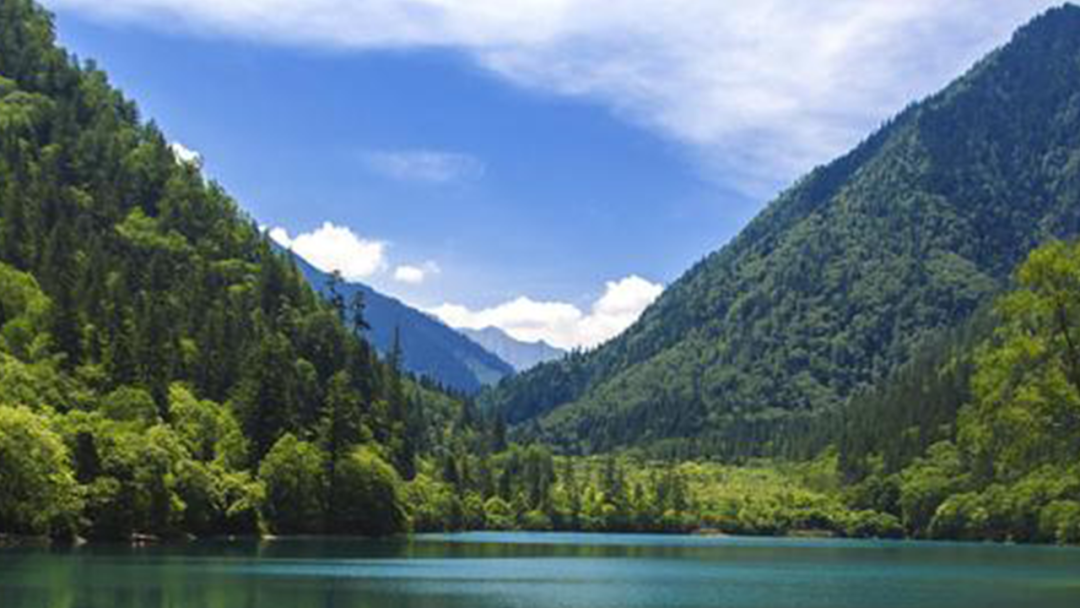 现在去九寨沟旅游要多少钱一周_现在去九寨沟旅游要多少钱_现在去九寨沟门票需要预定吗