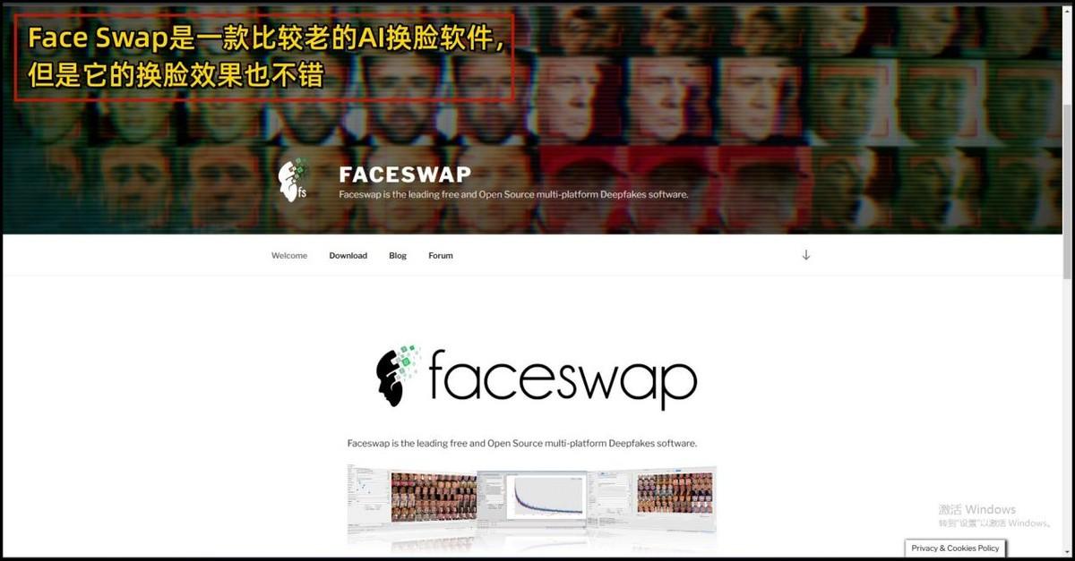 网上最火的换脸视频软件免费_网上特别火的换脸_换脸网站