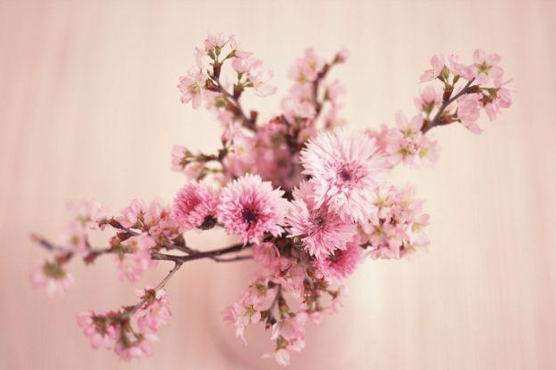 处女座2023年每月运势_处女座4月运势查询2023_处女运势座2021年运势