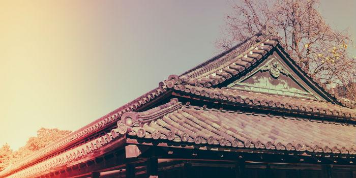 夏目响_夏目响_夏目响