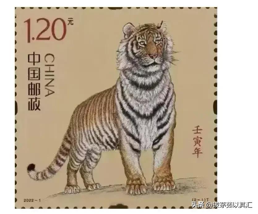 2023年是什么生肖_生肖是年份还是时辰_生肖是年份还是月份