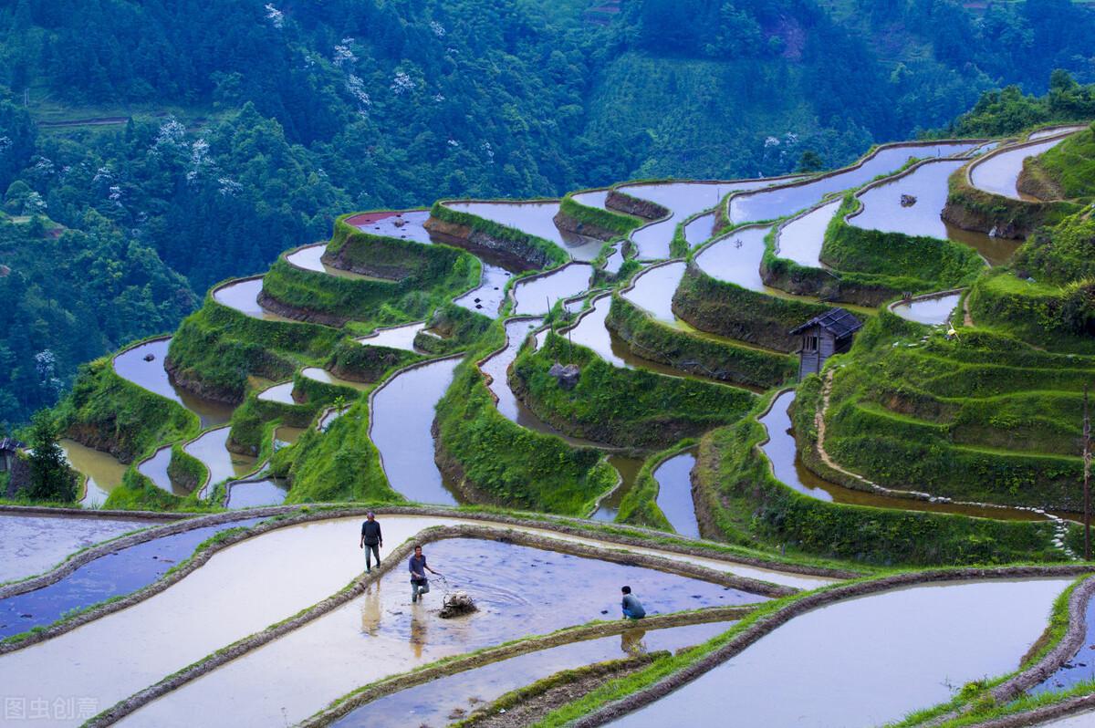 日历天干地支_天干地支日历_天干地支日历查询