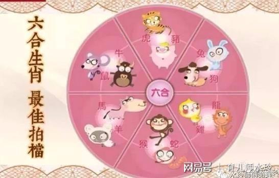 2003年属羊是什么命_属羊是2003年吗_属羊的人2003年是什么命